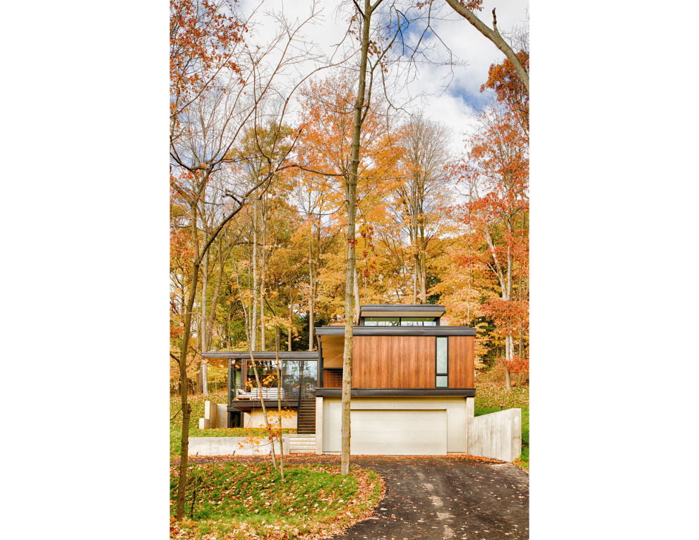Ispirazione per la villa piccola marrone moderna a due piani con rivestimento in legno e tetto piano