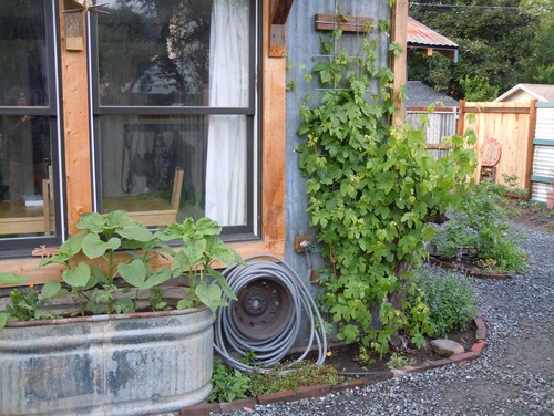 冬にしかできない作業を忘れずに行い 来春に備えよう 12月のガーデニング Houzz ハウズ
