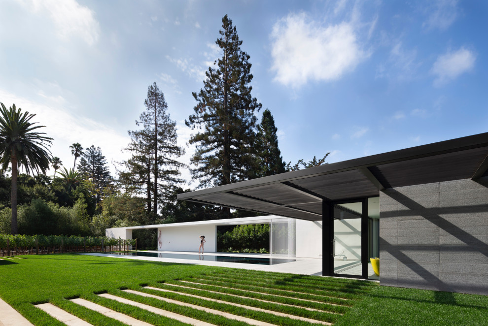 Стильный дизайн: одноэтажный, стеклянный, белый частный загородный дом среднего размера в стиле модернизм с плоской крышей и крышей из смешанных материалов - последний тренд