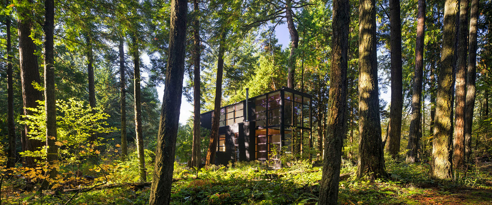 Kleines, Zweistöckiges Nordisches Haus mit schwarzer Fassadenfarbe und Flachdach in Seattle