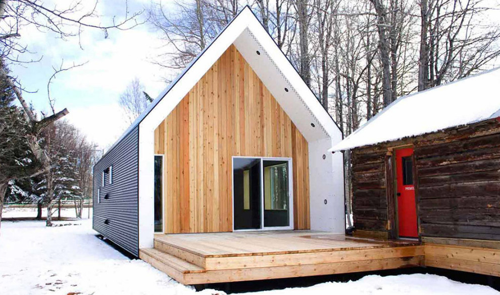 Идея дизайна: маленький, одноэтажный, черный частный загородный дом в современном стиле с облицовкой из металла, двускатной крышей и металлической крышей для на участке и в саду