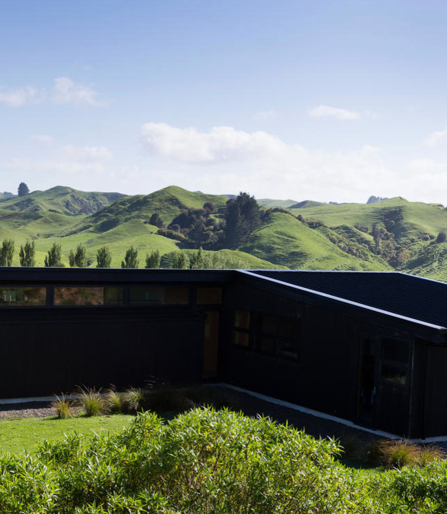 Trendy exterior home photo in Auckland