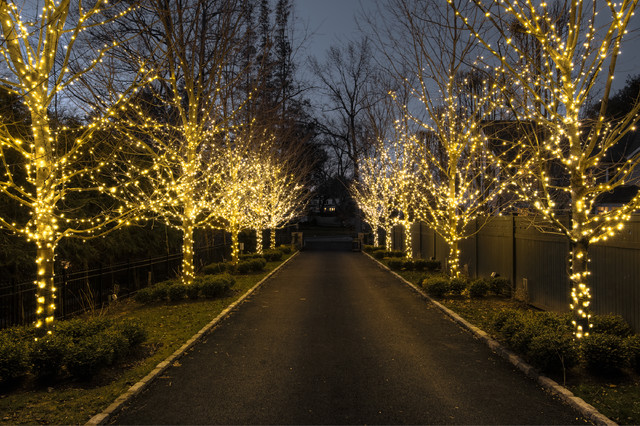 10 Ways to Decorate With Outdoor Christmas Lights