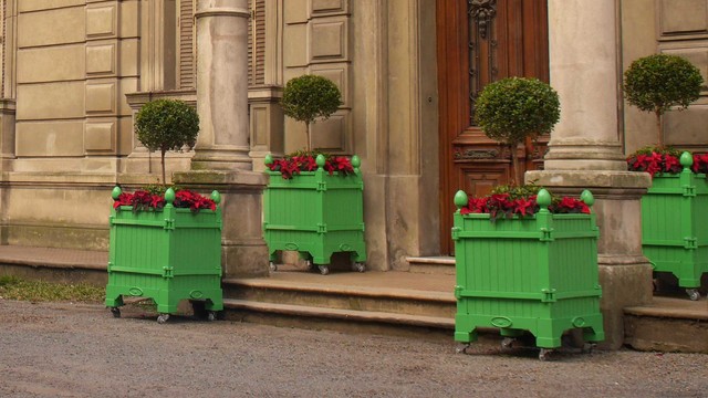 Versailles Planter Jardinier Du Roi French Planters Orange Tree Planters Chat Traditional House Exterior Miami By Jardinier Du Roi Versailles Planter Houzz Ie