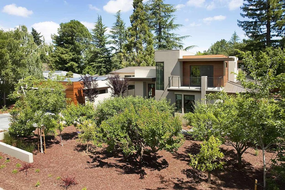 サンフランシスコにあるコンテンポラリースタイルのおしゃれな木の家の写真
