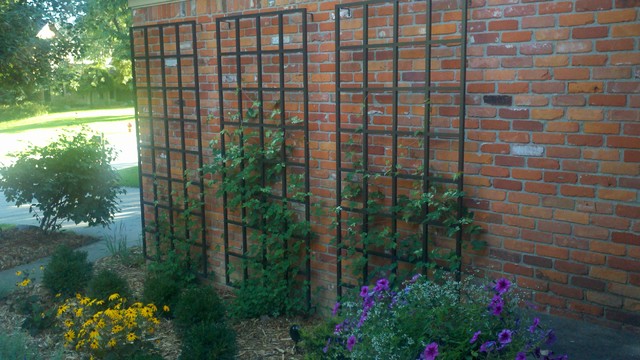 Wall Trellises - Traditional - House Exterior - Other - by Garden ...