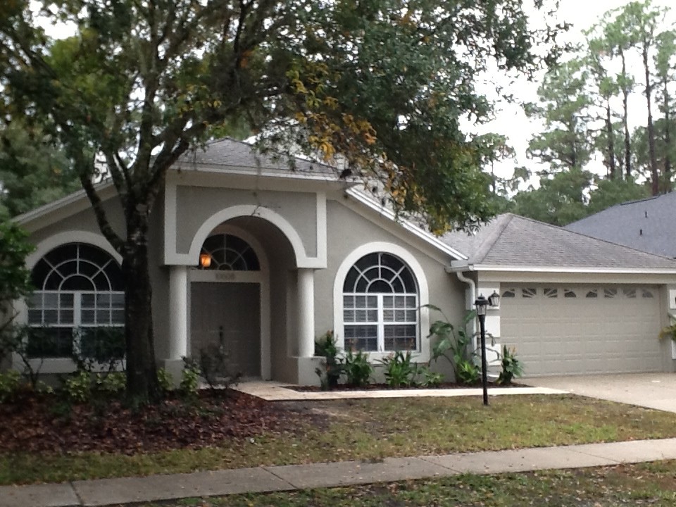 Westchase House Transitional Exterior Tampa by Biro RE