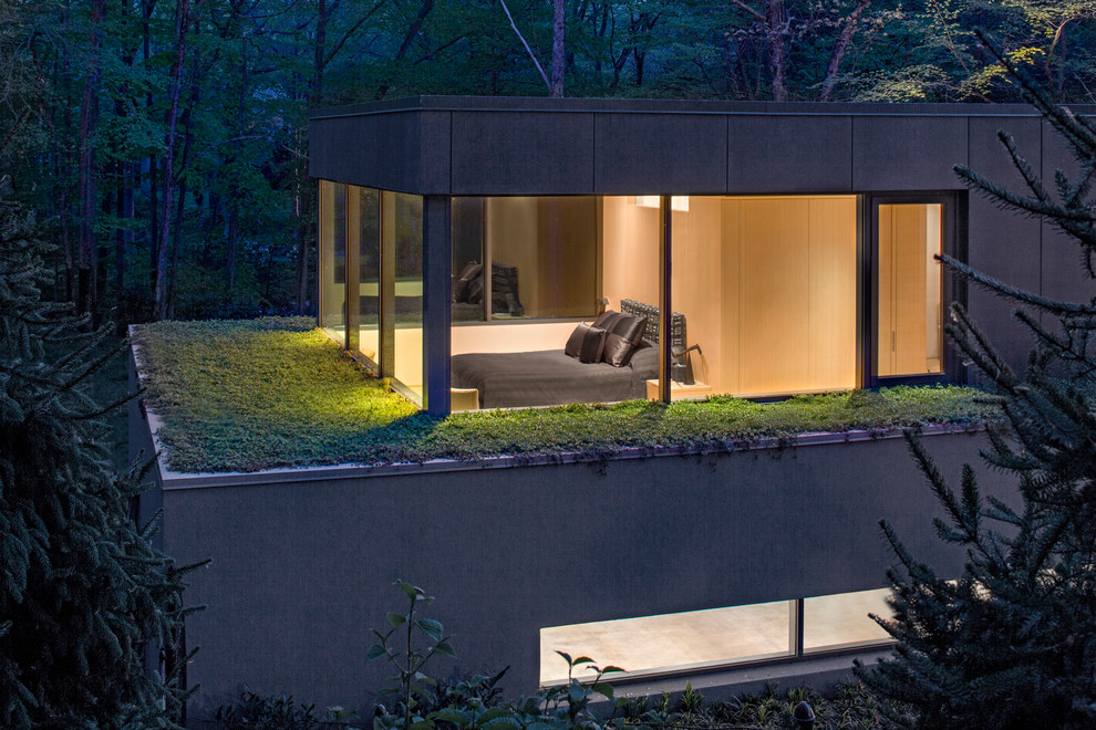 Imagen de fachada gris minimalista con revestimiento de vidrio y tejado plano