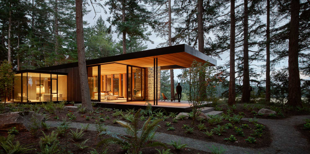 Идея дизайна: одноэтажный, стеклянный, черный частный загородный дом с плоской крышей
