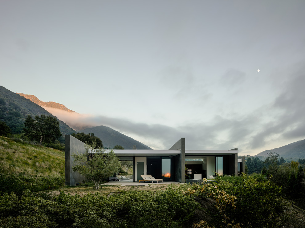 Idée de décoration pour une façade de maison grise minimaliste de plain-pied avec un toit plat.