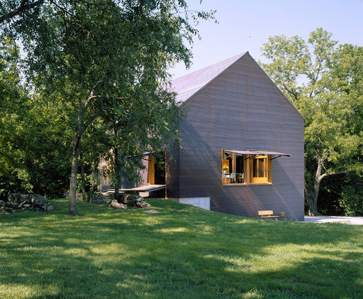 Идея дизайна: дом в стиле кантри с облицовкой из металла
