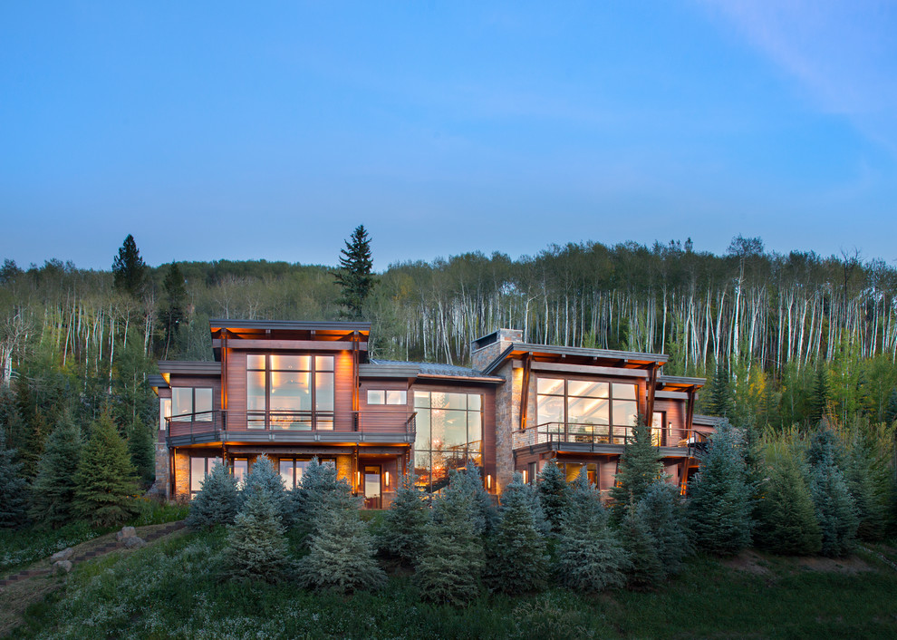 Brown rustic two floor detached house in Denver with wood cladding and a flat roof.