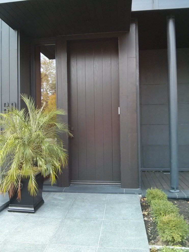 Portes d'entrée en bois Moderne Modern Wooden front doors Modern