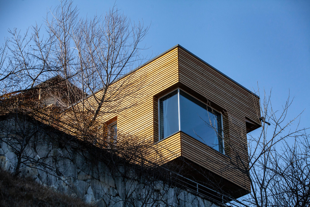 Esempio della villa piccola contemporanea a due piani con rivestimento in legno, tetto piano e copertura verde