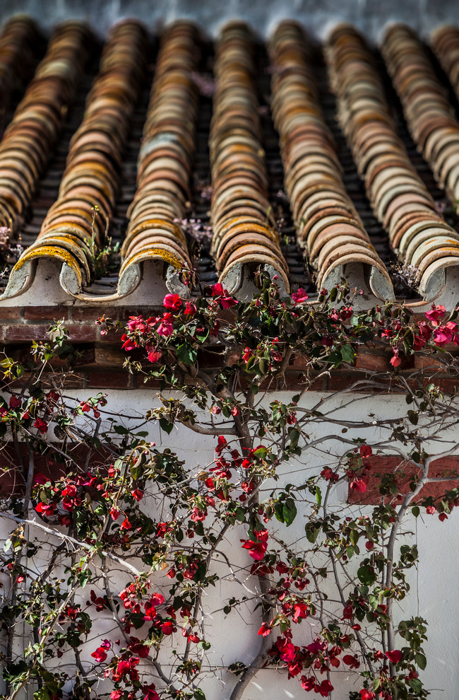 Elegant exterior home photo in Seville