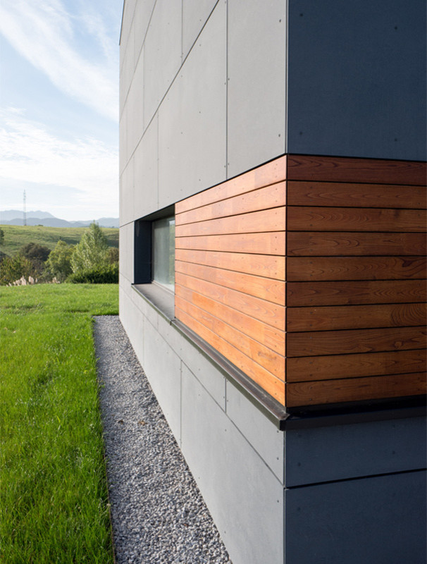 Ispirazione per la facciata di una casa multicolore contemporanea a due piani con rivestimento in legno