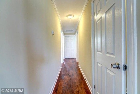 Foto di un soggiorno design di medie dimensioni e chiuso con pareti beige e pavimento in legno massello medio