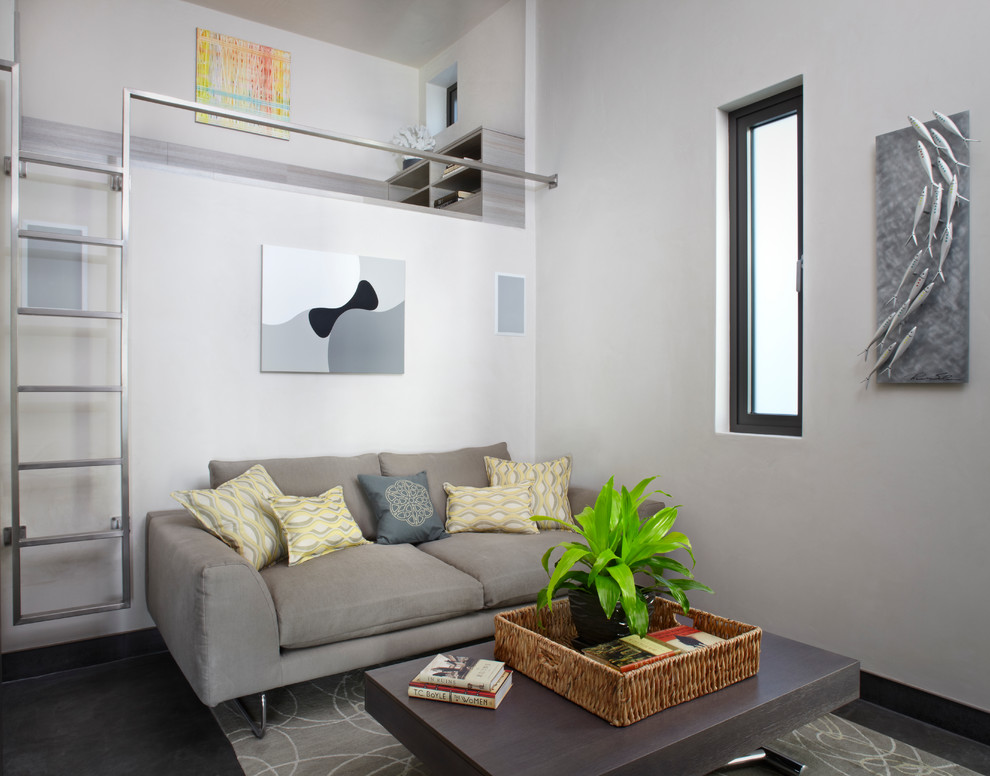 Foto de sala de estar tipo loft contemporánea pequeña con paredes grises, suelo de cemento y televisor colgado en la pared