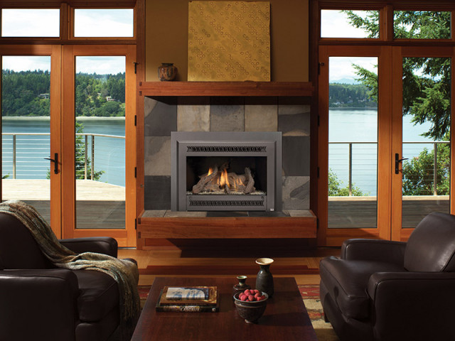 34 Dvl Gas Fireplace Insert Transitional Games Room Seattle By Fireplace Xtrordinair Houzz Ie