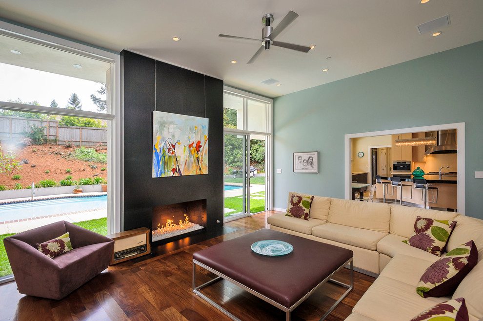 Cette photo montre une salle de séjour tendance avec un mur bleu, parquet foncé et une cheminée standard.
