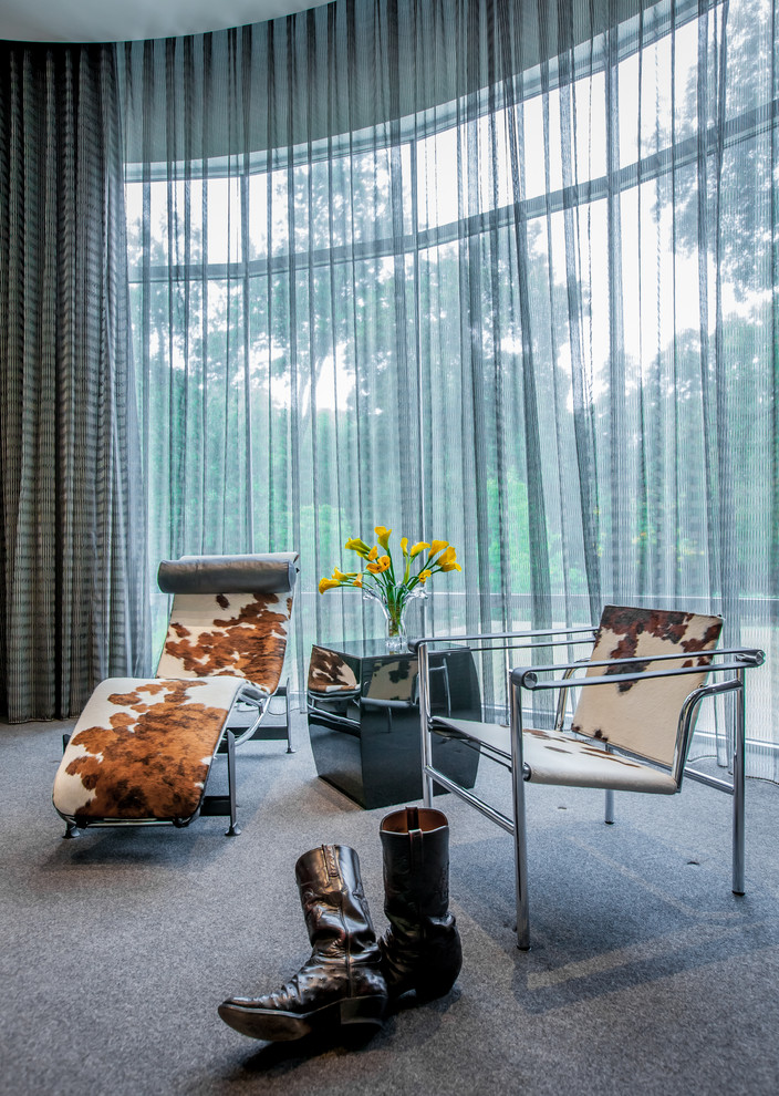 Immagine di un soggiorno design con moquette