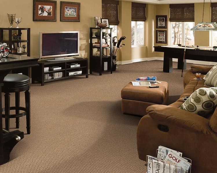 Идея дизайна: большая изолированная комната для игр в классическом стиле с ковровым покрытием, отдельно стоящим телевизором, коричневыми стенами и коричневым полом без камина