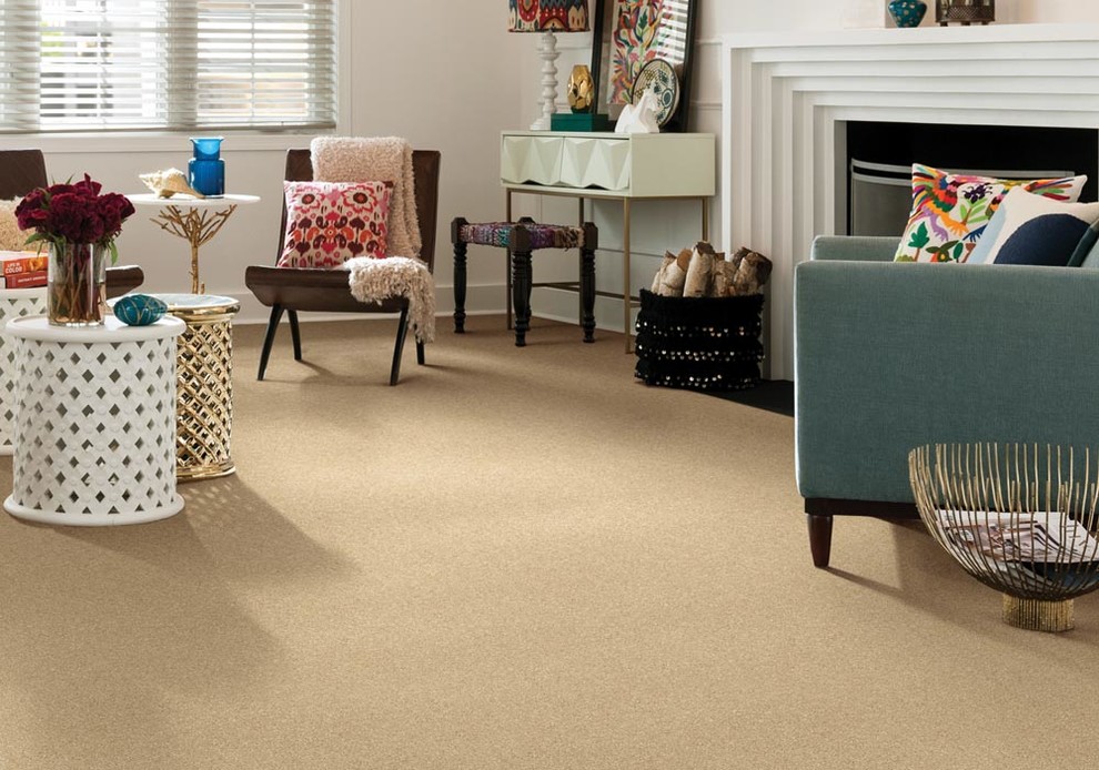 Carpet Styles Eclectic Family Room Minneapolis by CarpetsPlus