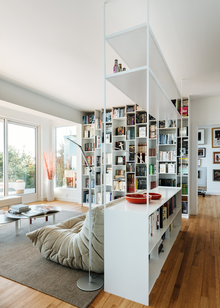 Modelo de sala de estar con biblioteca contemporánea con alfombra