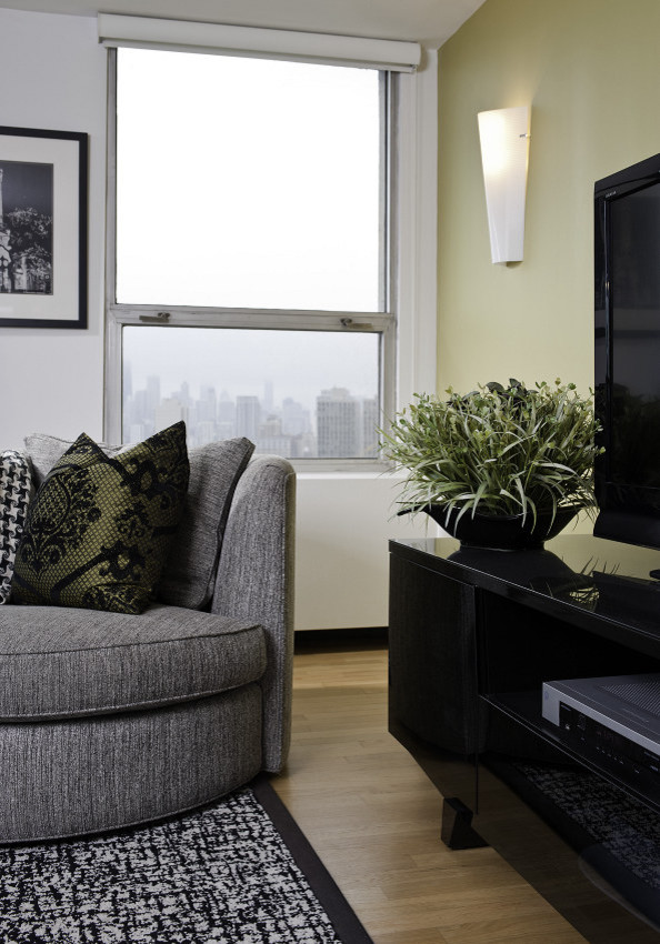 Contemporary Condo Contemporary Family Room Chicago by