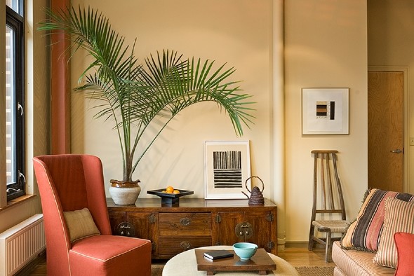 Modelo de sala de estar tipo loft tropical de tamaño medio con paredes amarillas, suelo de madera clara y suelo marrón