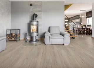 75 Vinyl Floor Living Room with a Wood Stove Ideas You'll Love - August,  2023 | Houzz