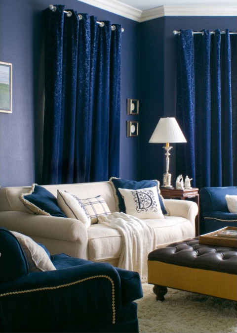 Example of a trendy family room design in Los Angeles with blue walls
