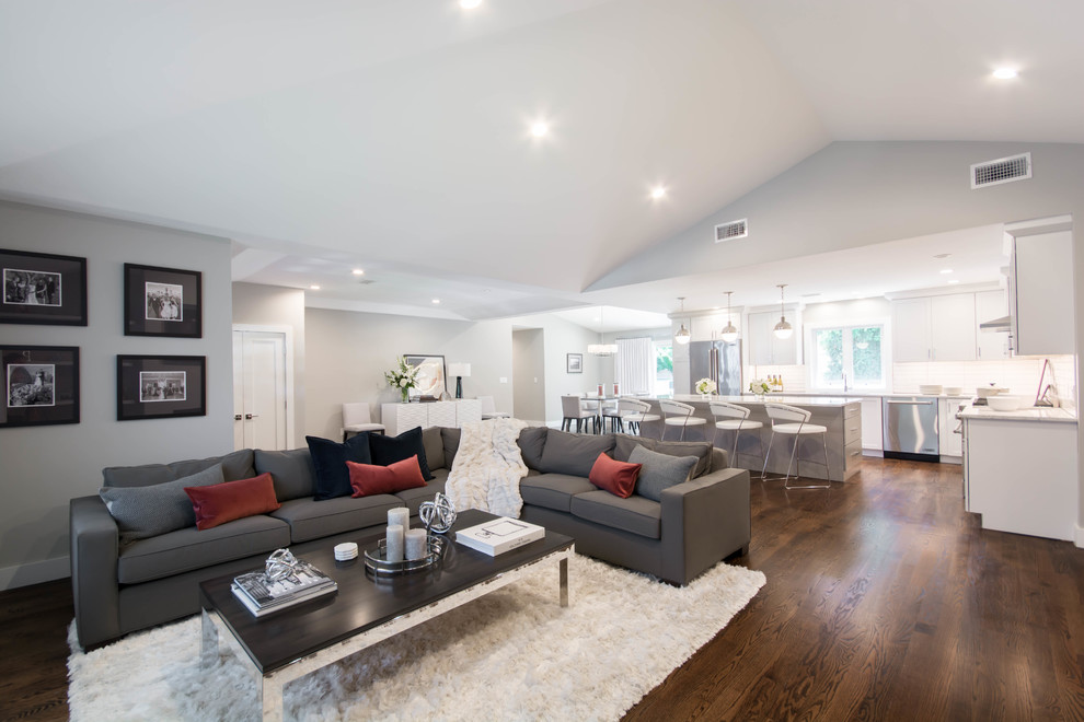 Example of a large minimalist open concept dark wood floor and brown floor family room design in Providence with gray walls, a ribbon fireplace, a plaster fireplace and a wall-mounted tv