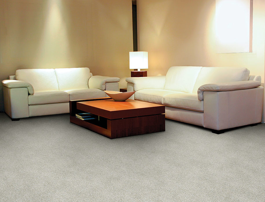 Modelo de sala de estar abierta minimalista de tamaño medio con paredes beige, moqueta y suelo gris