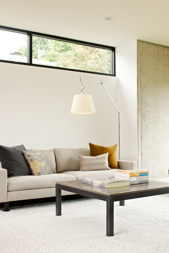 Modernes Wohnzimmer mit weißer Wandfarbe und Teppichboden in Minneapolis