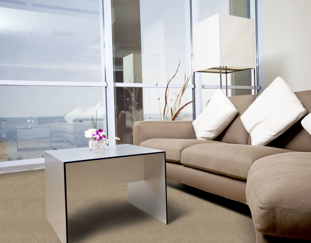 End Of The Roll Carpet Selection Modern Family Room Toronto