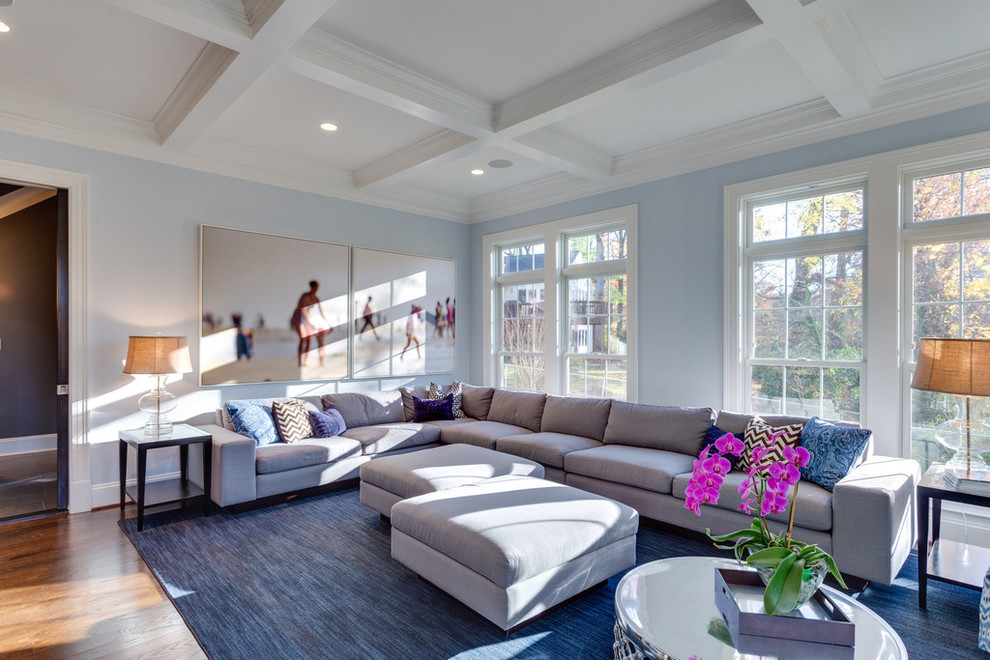 Ejemplo de sala de estar cerrada tradicional sin chimenea y televisor con paredes azules y suelo de madera en tonos medios