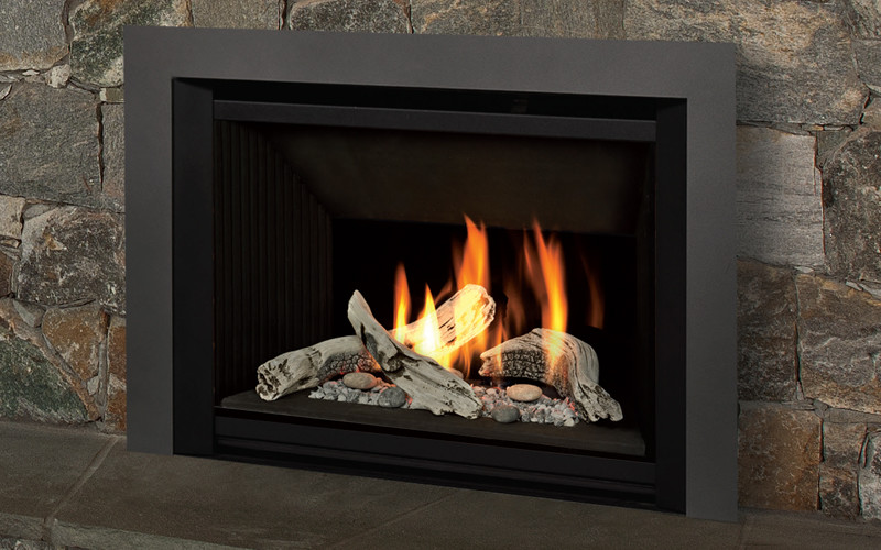 G4 Gas Insert Series Traditional Family Room Salt Lake City by