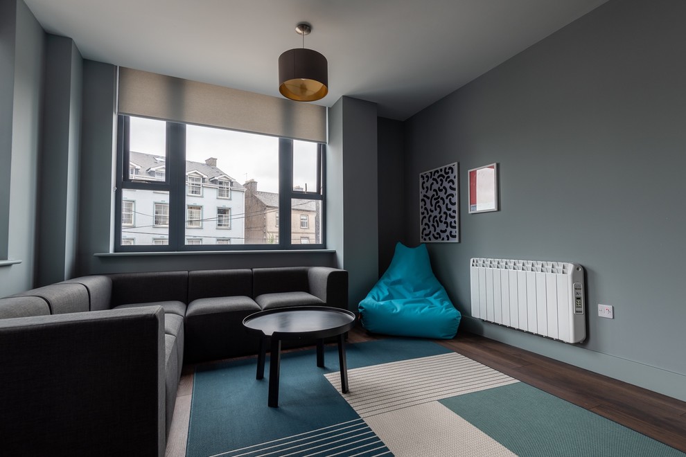 forbi systematisk Wreck Hatch Rooms & Hatch Student Accommodation Radiators - Contemporary - Family  Room - Cork - by Electric Heaters | Houzz