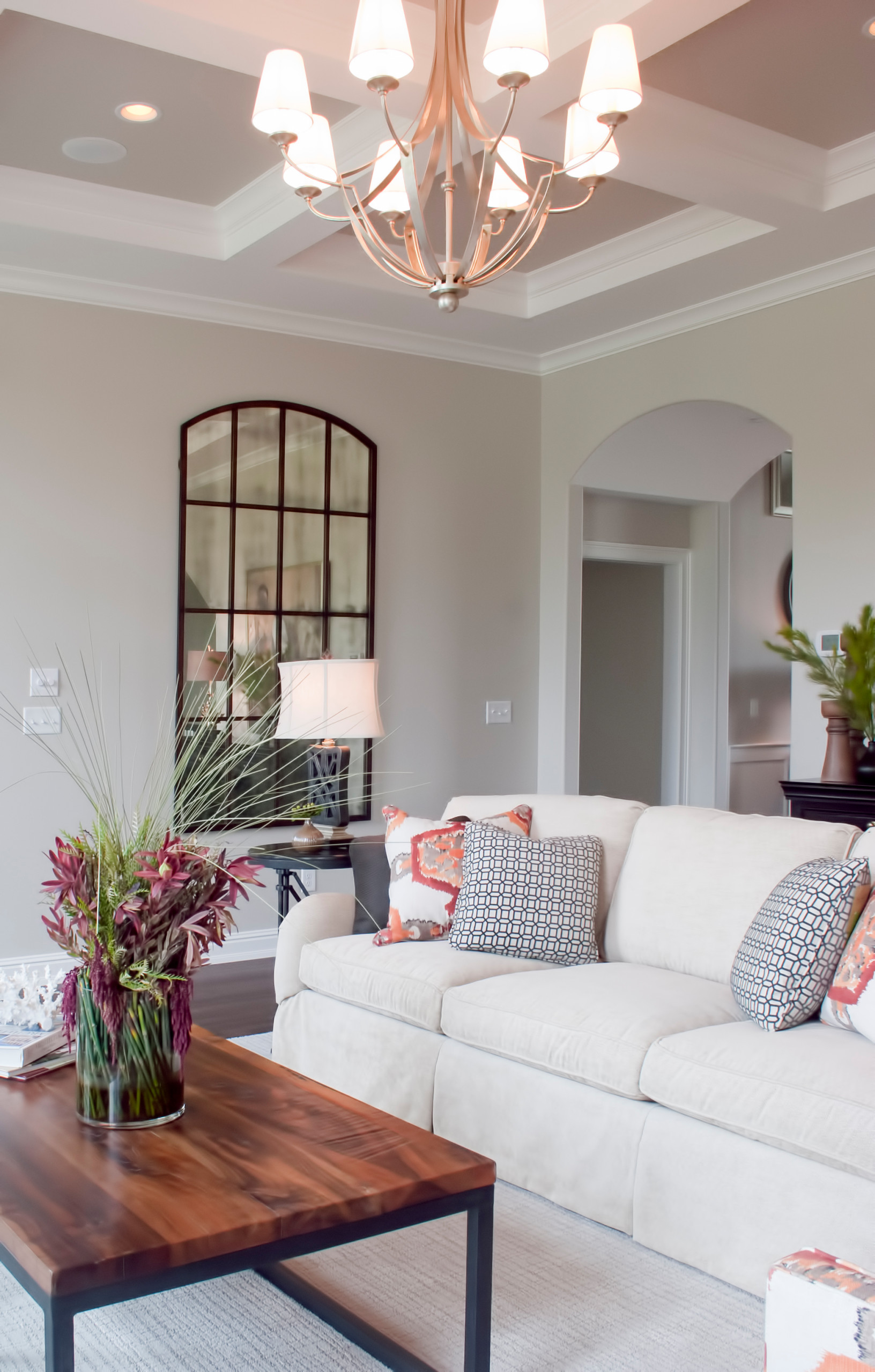 Whiskers  Houzz