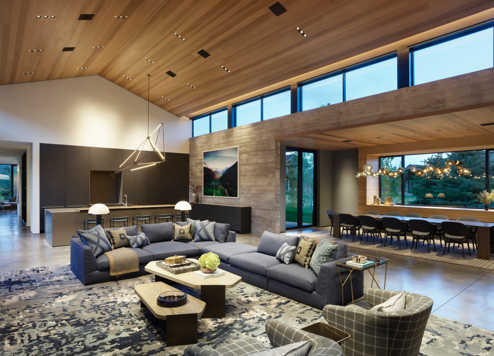 Huge mountain style open concept concrete floor, gray floor, vaulted ceiling and wood wall family room photo in Other with multicolored walls