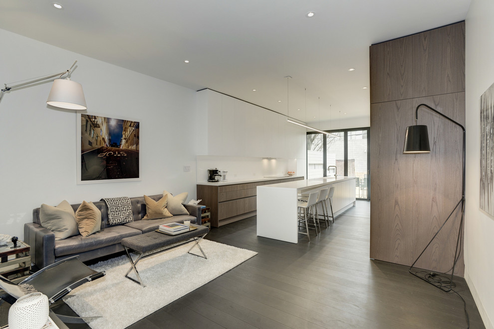 Foto di un soggiorno moderno di medie dimensioni e chiuso con pareti grigie, parquet scuro, nessuna TV e pavimento nero