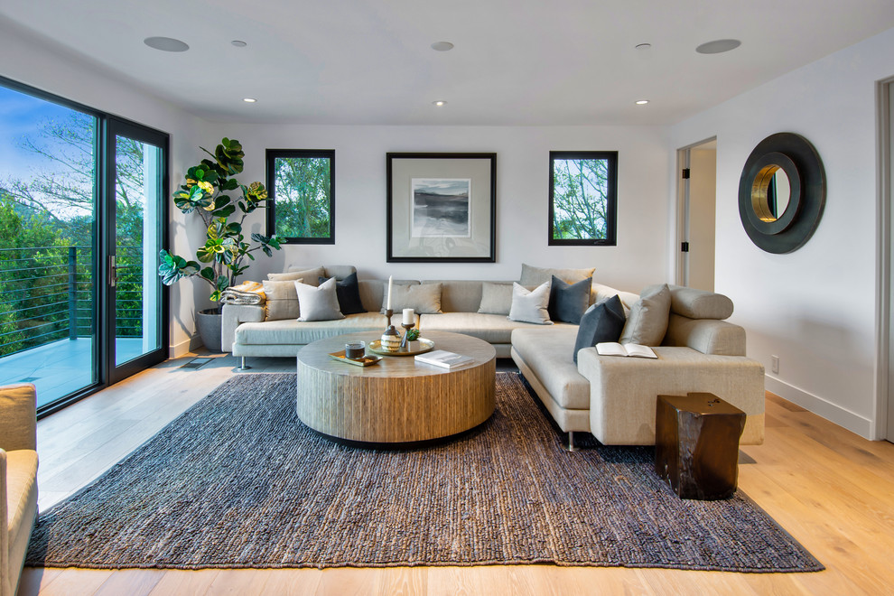 Modelo de sala de estar contemporánea con paredes blancas, suelo de madera en tonos medios y suelo marrón