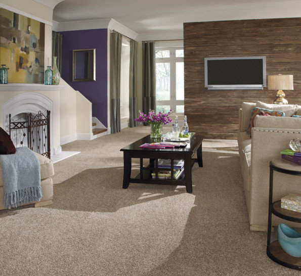 Living Room Transitional Family Room Las Vegas by Roger's