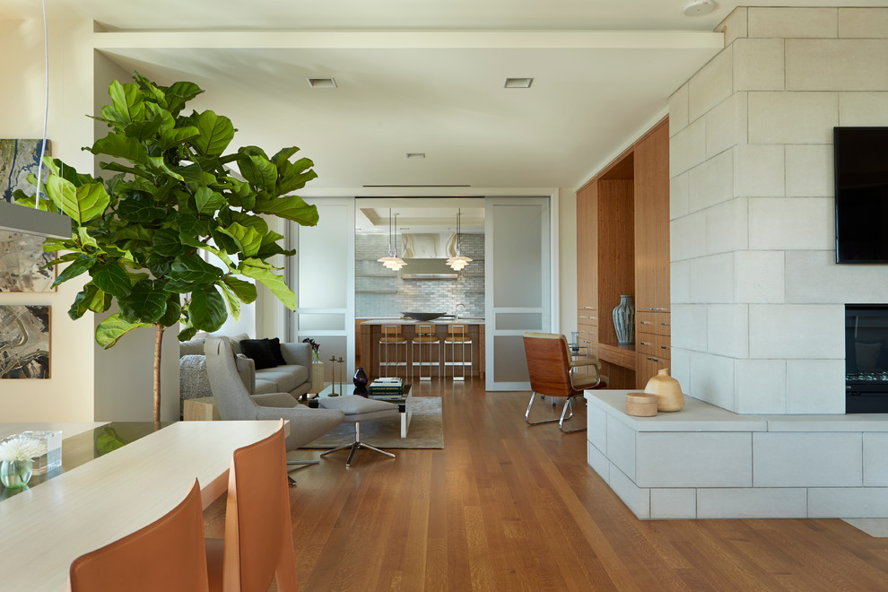 Esempio di un soggiorno minimal con pavimento in legno massello medio