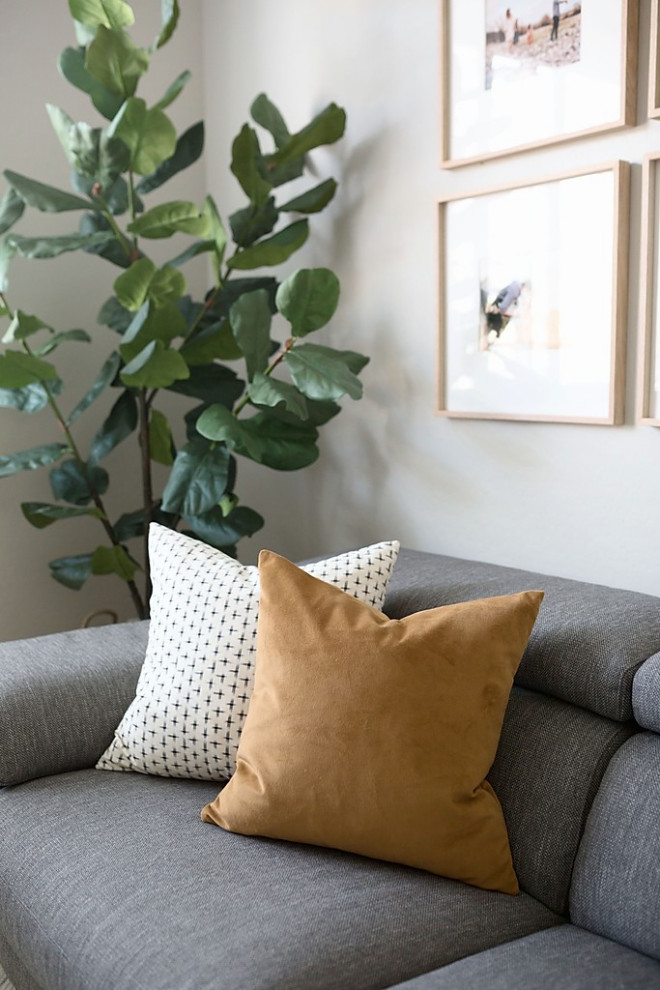 Immagine di un piccolo soggiorno contemporaneo chiuso con pareti grigie e TV a parete