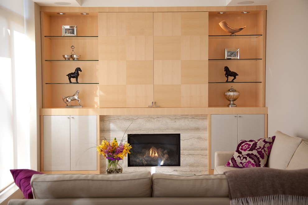 Maple House Wall Unit (Project 710) Contemporary Family Room