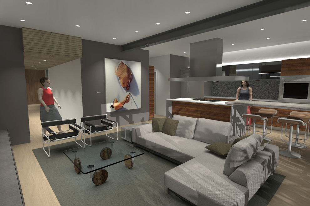 Modern Family Room - Modern - Family Room - San Francisco | Houzz