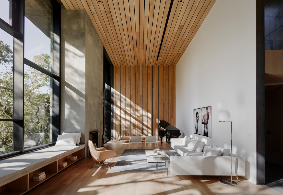 Источник вдохновения для домашнего уюта: гостиная комната в стиле модернизм с музыкальной комнатой, белыми стенами, светлым паркетным полом, стандартным камином, фасадом камина из бетона, бежевым полом и ковром на полу