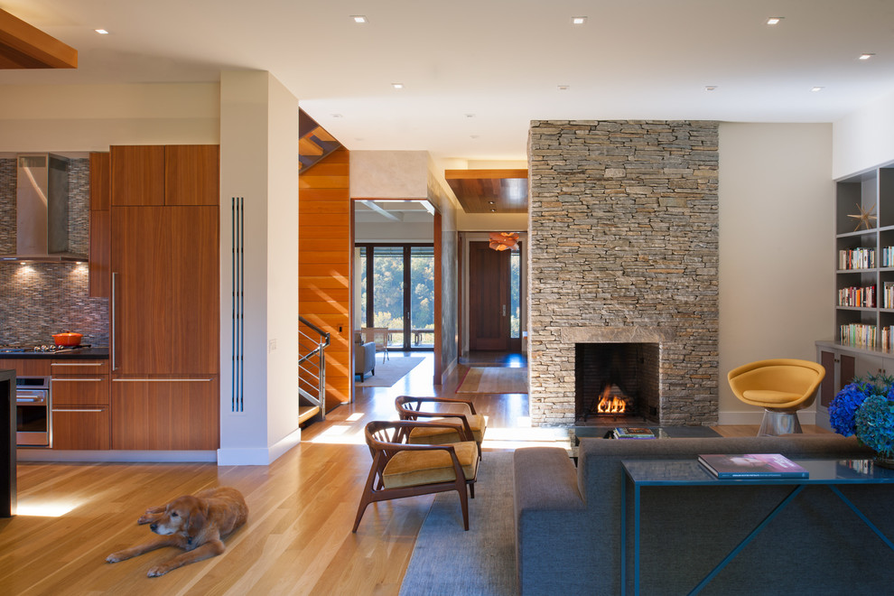 Offenes Modernes Wohnzimmer mit Kamin, Kaminumrandung aus Stein, weißer Wandfarbe und braunem Holzboden in Washington, D.C.